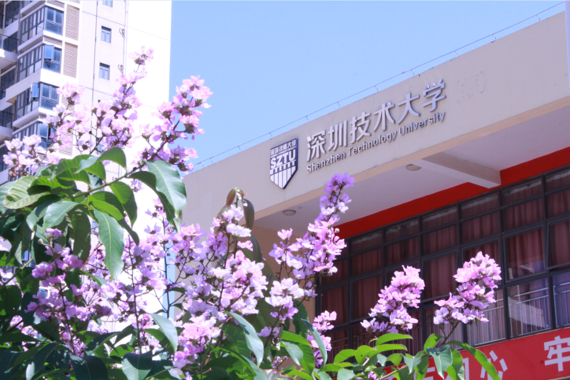 2019CIICCII短视频免费版下载團體標準啟動儀式