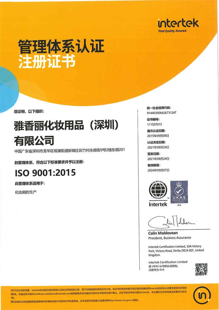 ISO9001：2015 中文